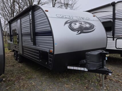 CHERO GREY WOLF - 26DJS - 2019